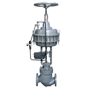 100C Single Seated Cage Guided Control Valves