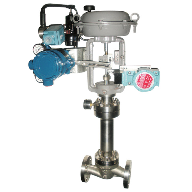 100S Single Seated Control Valve